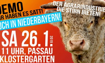Wir haben es satt - auch in Niederbayern. Demo 26.01.2019, Passau