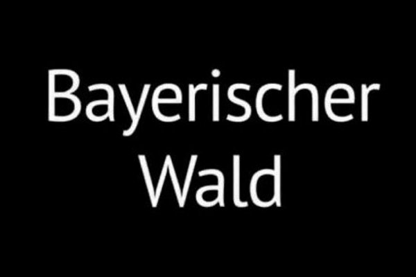 Film für Seehofer und Söder: meine Heimat der Bayerische Wald