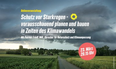 Schutz vor Starkregen - vorausschauend planen und bauen in Zeiten des Klimawandels