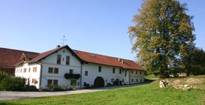Hafninger-Hof in Tiefenbach Hafninger-Hof in Tiefenbach